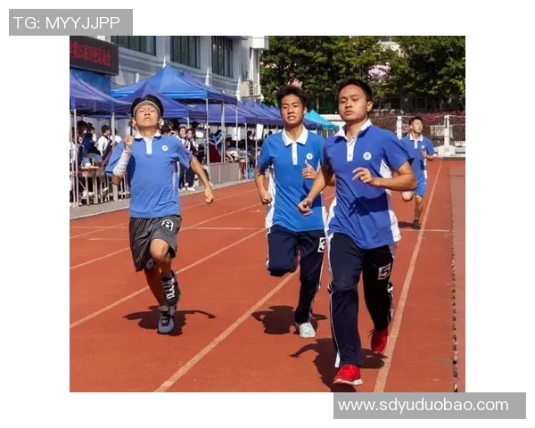 深圳篮球队在全国锦标赛中的拼搏历程与荣耀时刻全景回顾