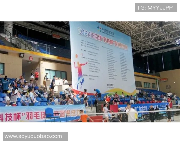 深圳羽毛球队挑战赛背后的奋斗故事与荣耀时刻