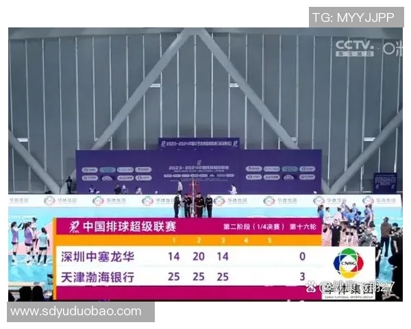 深圳排球队的崛起与挑战分析聚焦排球运动的力量与未来发展