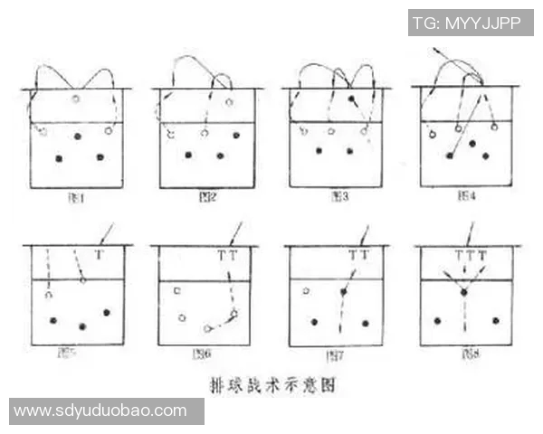 深圳排球队反击战术深度解析与实战应用探讨