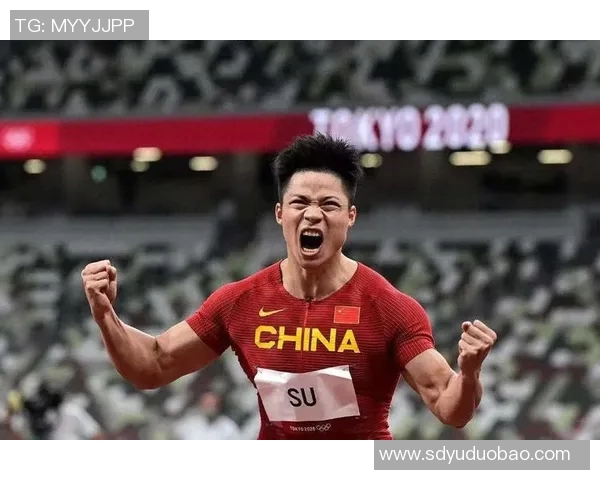 深圳乒乓球队在世界锦标赛中的逆袭之路与辉煌成就全景回顾