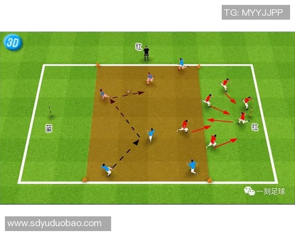 深圳足球队的耐力挑战与发展之路探讨