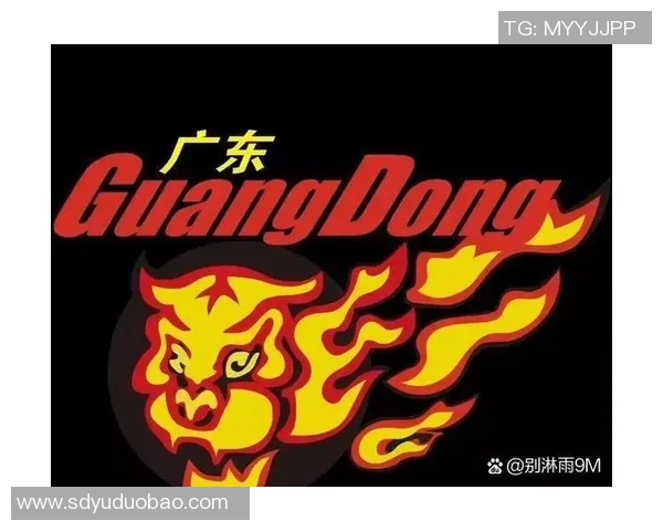 南京篮球队实力强劲荣登全国篮球实力排行榜第三名