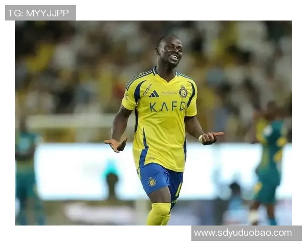 沙特足球明星薪资排行榜揭晓谁是收入最高的球员