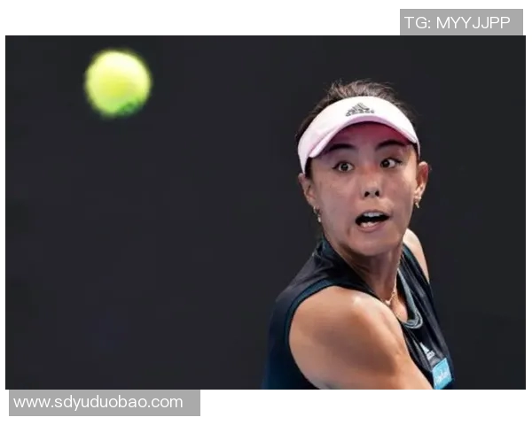 王强专访揭秘网球成功秘诀与职业生涯背后的故事 王强专访揭秘网球成功秘诀与职业生涯背后的故事