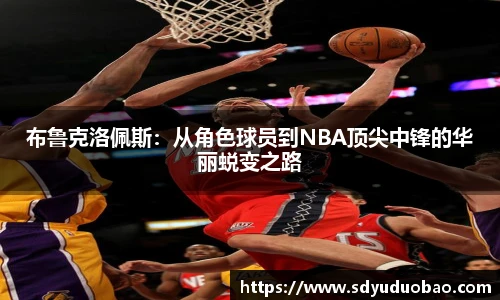 布鲁克洛佩斯：从角色球员到NBA顶尖中锋的华丽蜕变之路